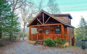 Pigeon Forge Cabin - Almost Bearadise - Exterior