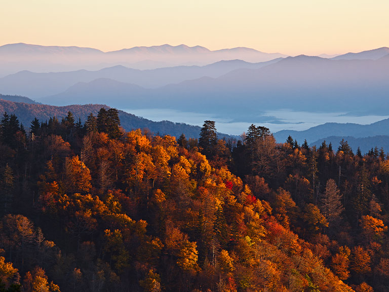 Fall-Forecast-Smoky-Mountains