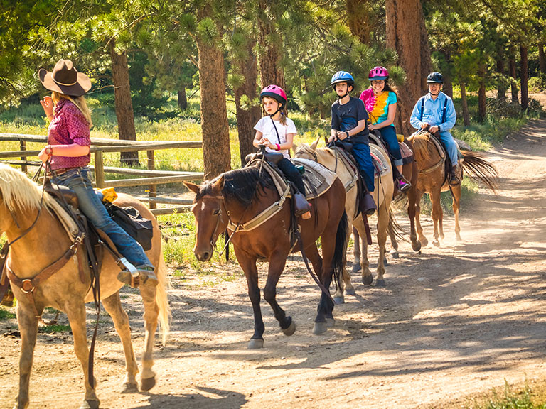 Horseback riding smoky mountains deals