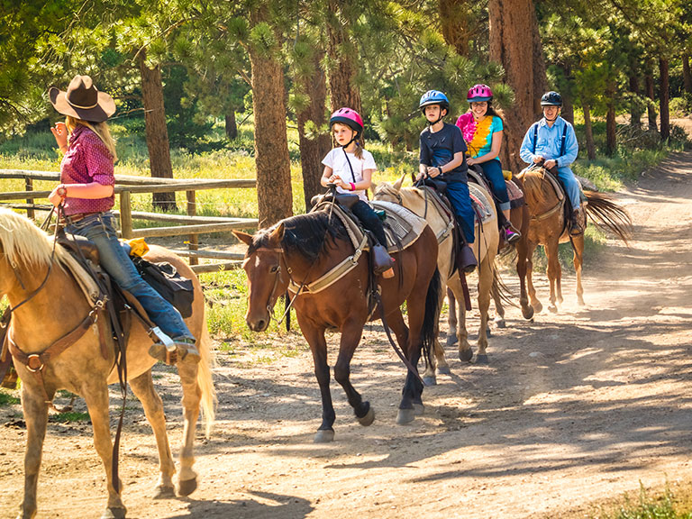 Horseback Riding In Pigeon Forge Prices Coupons And Info Pigeon