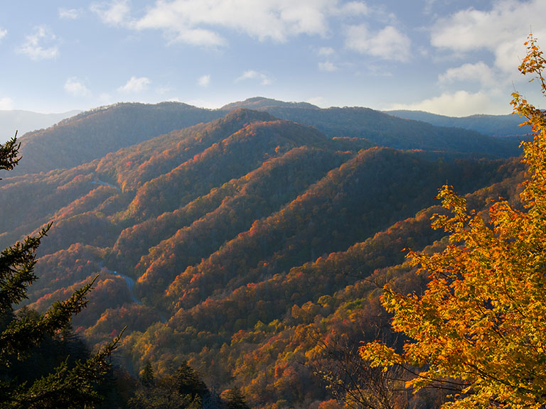 fall-color-great-smoky-mountains