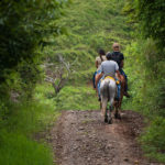 horseback-riding-through-the-forest