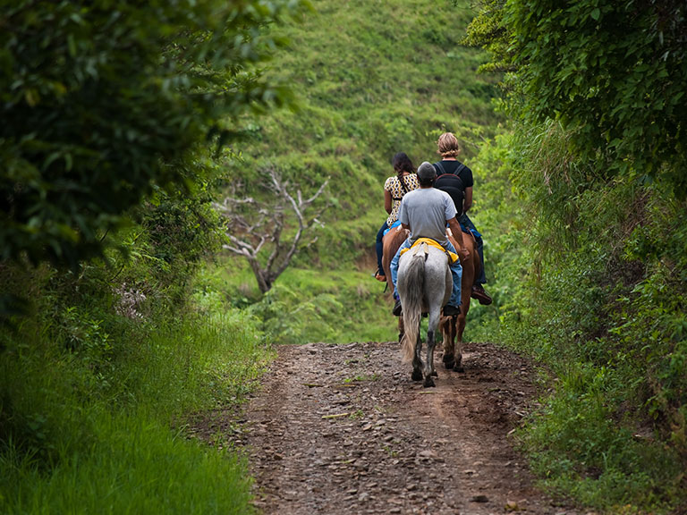 Horseback Riding in the Smokies Pigeon Forge TN Cabins