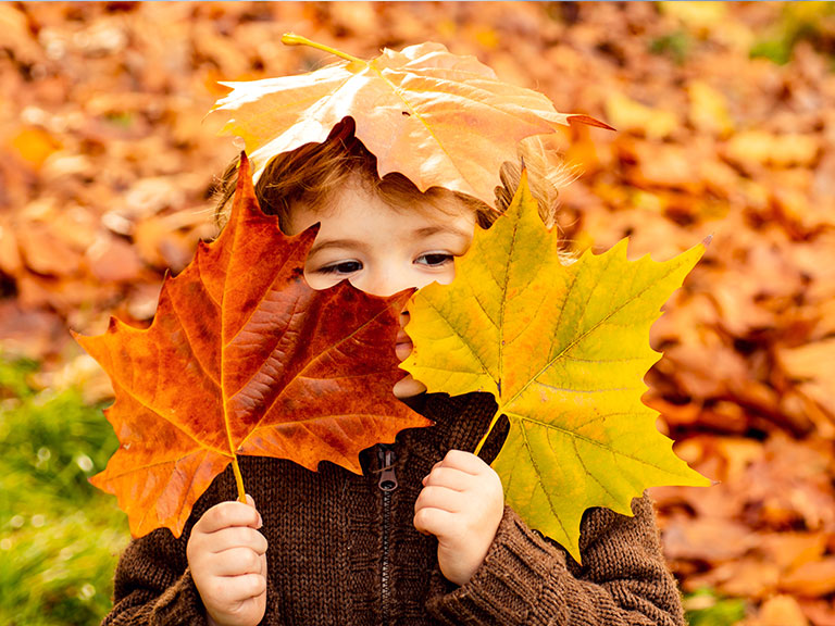 kid-fall-leaves