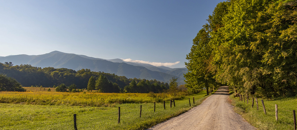 Pigeon Forge Blogs - Explore Scenic Drives and Hiking Trails in Cades Cove - Banner