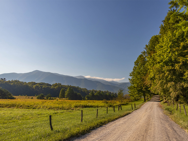 Pigeon Forge Blogs - Explore Scenic Drives and Hiking Trails in Cades Cove - Featured