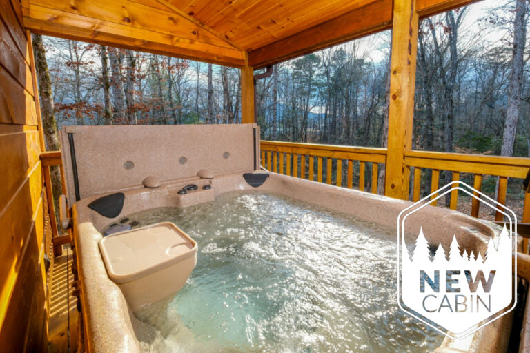 Pigeon Forge - Bearly Enough Time - Featured