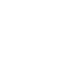 Pigeon Forge TN Cabins logo